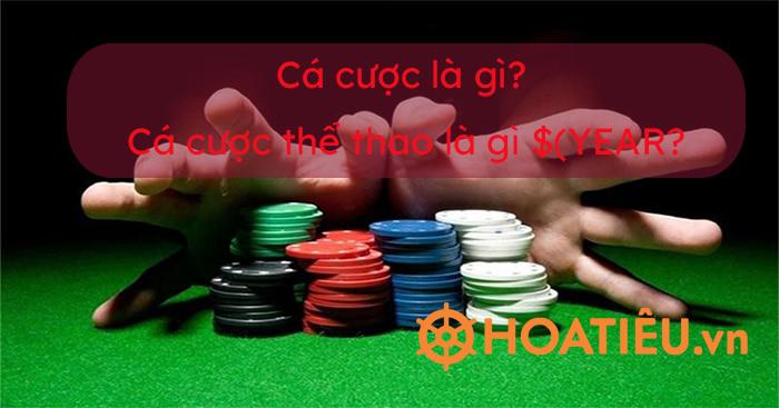 Khám phá máy chủ garena và những tính năng độc đáo dành cho game thủ trên máy chủ garena